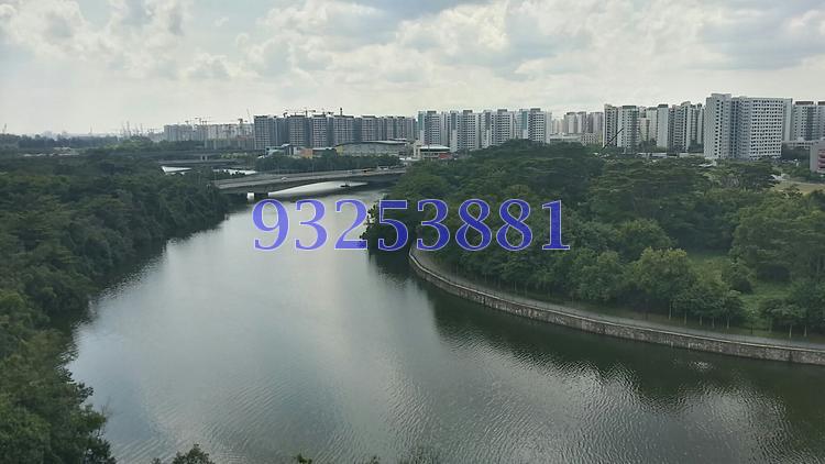 H2O Residences (D28), Condominium #65689312